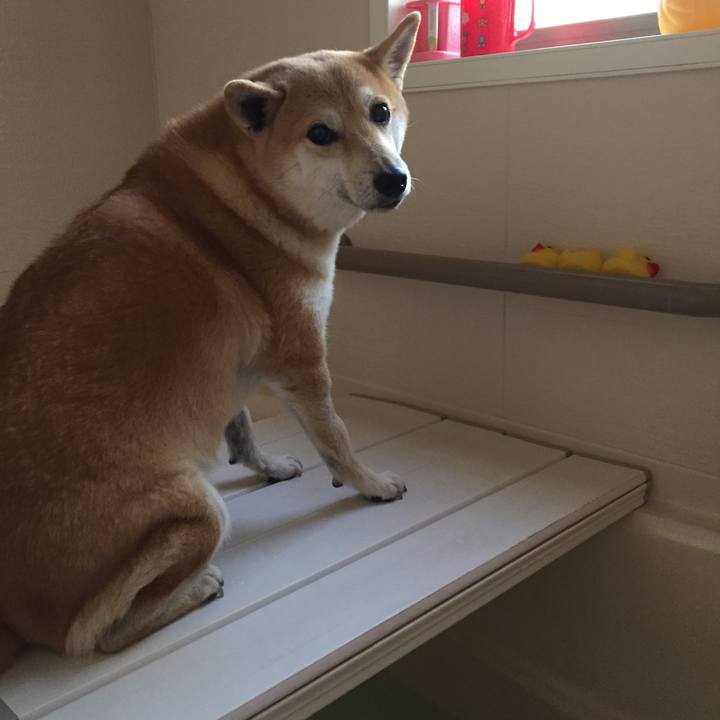 297497f5 fc24 4607 a187 f5f8c23b650f