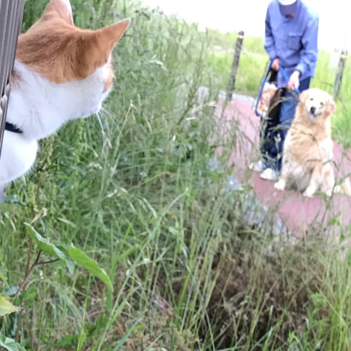 2974a2b8 22d6 4856 b0e0 6da2354e20d7