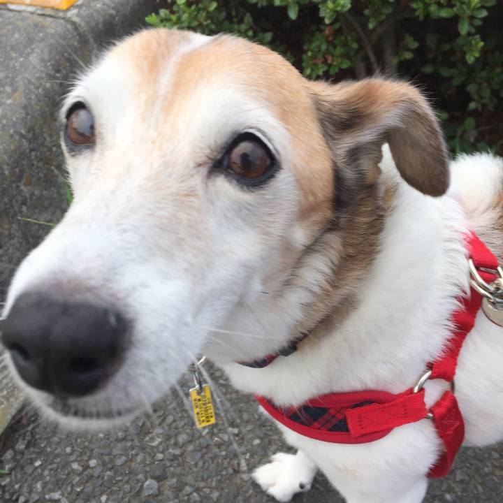 2974f39b c9b8 4521 bead 3cf0551b1eb0