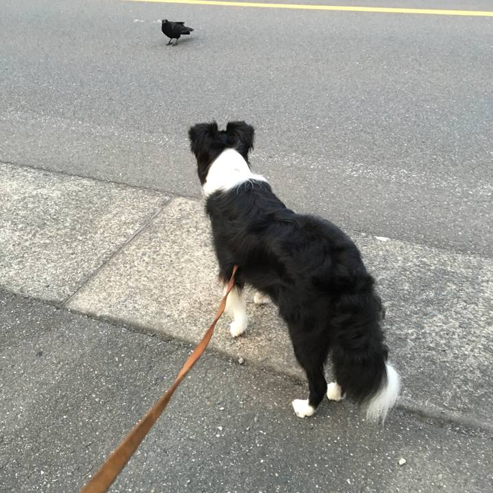 297561e9 32b8 481c 8fa3 96a697188b7a