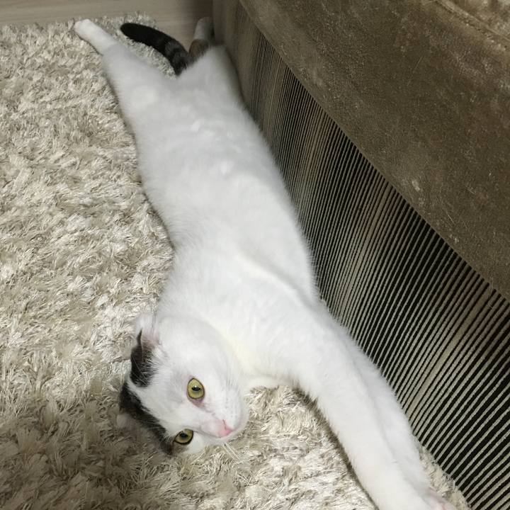 297568e9 b774 41fe b85f 4eb473c9ba6a