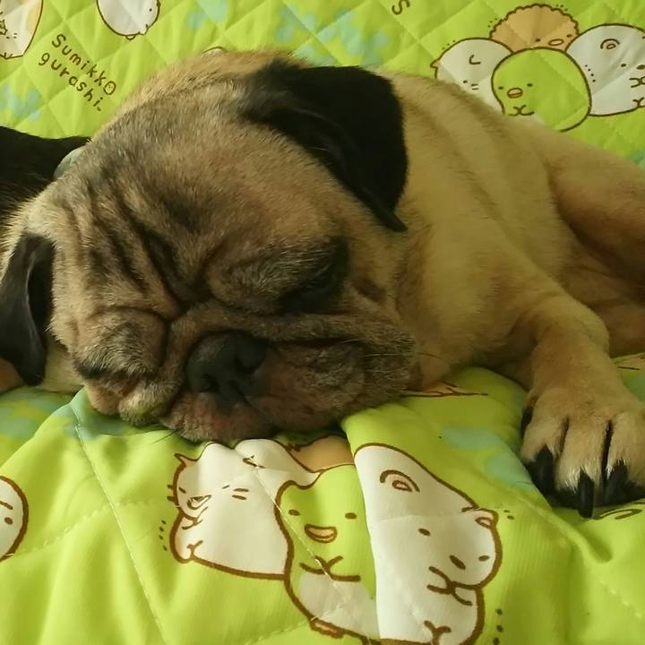 2975b81d b5a3 450d 8c98 6abd0d78ab3e