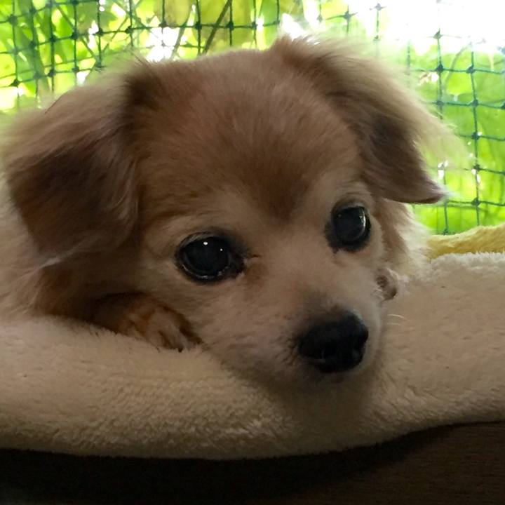 2975cfdb 35fc 4bab 85dc da758532e5d5