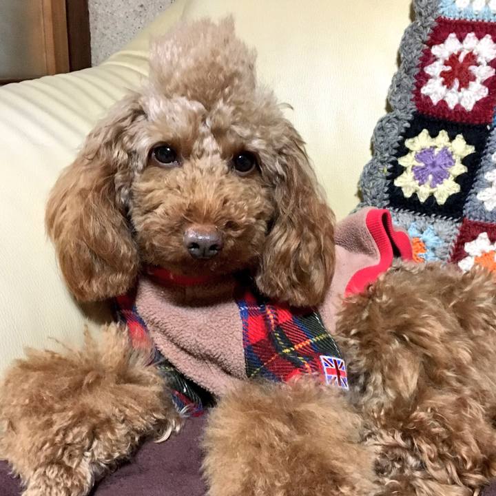 297767af d1db 4a54 b247 83594fd95d7d