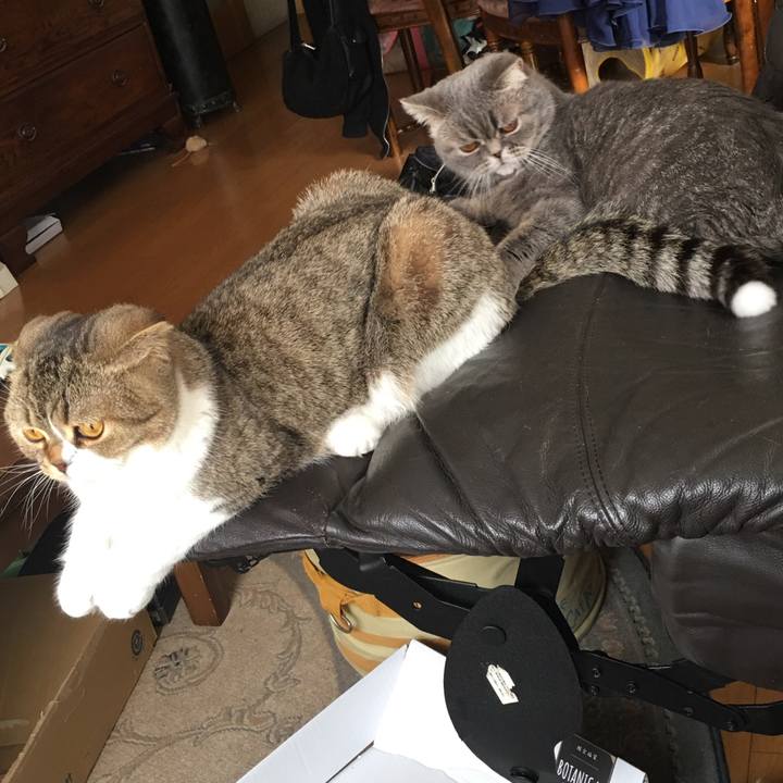 2977cdf3 637a 44c4 bb5e 0be4de90e501