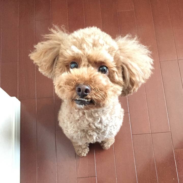 2978142d 39cd 4a48 b4ad a0deab72b6eb