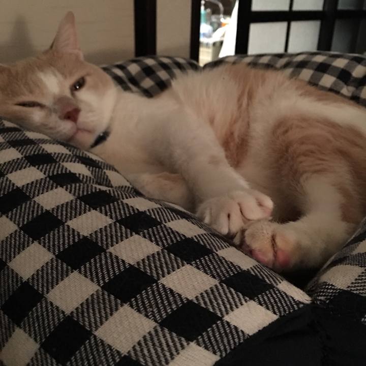 297882ce 2498 42b5 9990 b130fffb1ce8