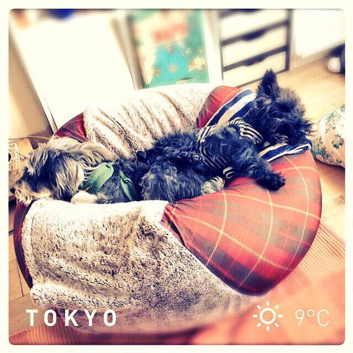 2978a70a 8d06 48bf 9d84 951a563caae6