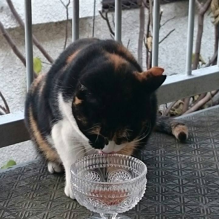 2978af81 66d9 4844 8c42 9dac2d0e9d92