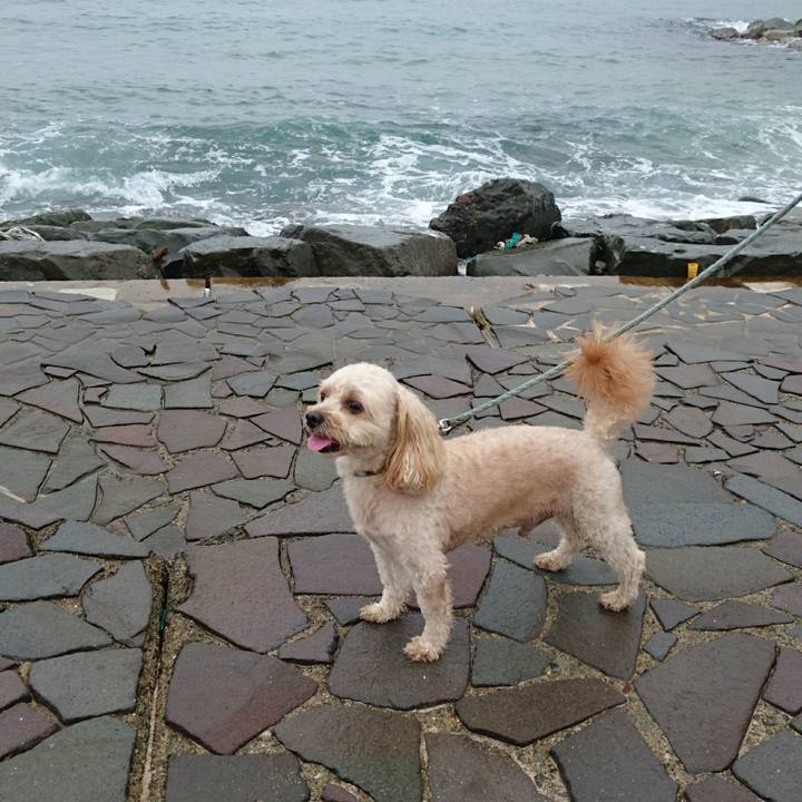 2978b866 88fa 49ce a67c ef7ce5c1e5ef