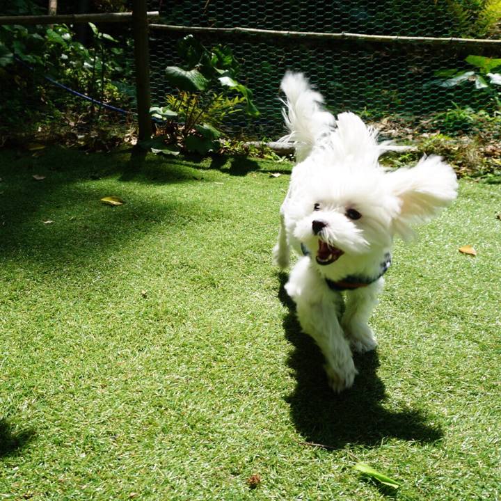 2978e465 df89 4440 9d3a d6db42cc678d