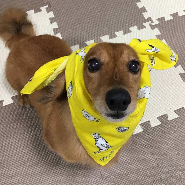 29793889 a8a2 4927 b08b 7d62b3d0d29a