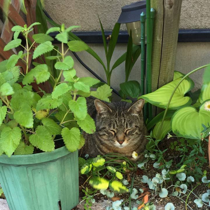 297a079d 0a73 4230 960f 97a082a7ccb8