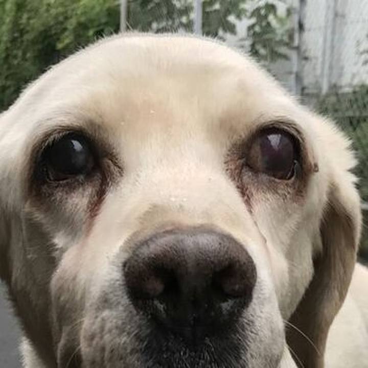 297a46eb e4f9 44dd ab9e f08b7de03581