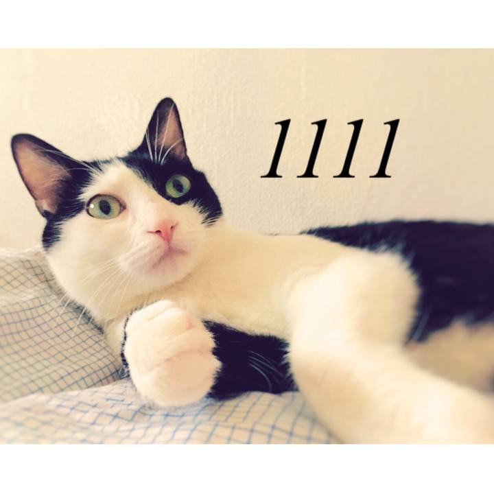 297b199f 5c3f 4488 883d f7d8581d3c2f