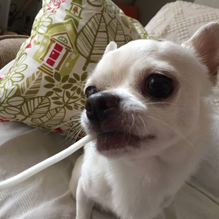 297b435f 9306 4c98 a939 f410d87670ce