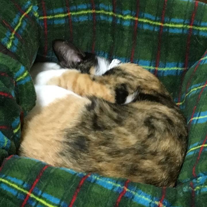 297bc632 a2be 441d b9df 0be5531d75e7