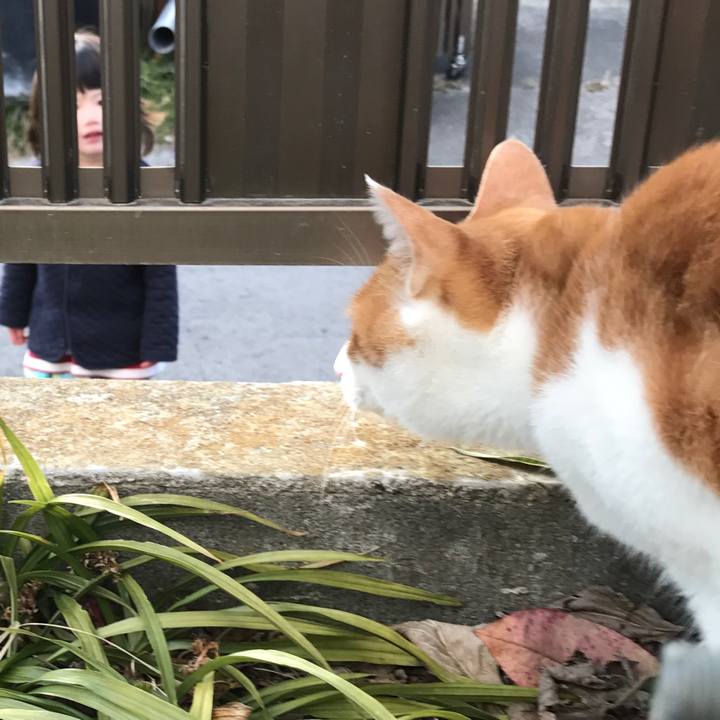 297bc65f 96cc 4684 9770 991f5571e98a