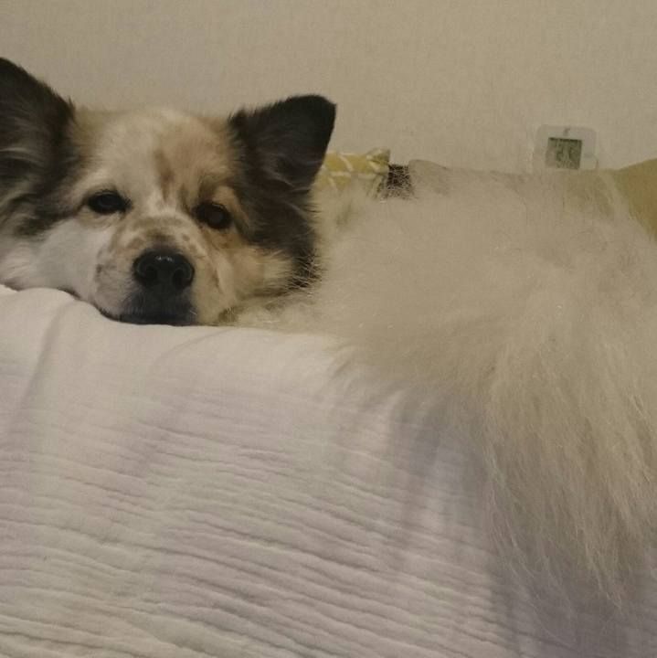 297bd26a 4d14 4b88 be27 a2912eb00e81