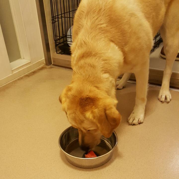 297c730b 4775 4faa aca9 d2e695e60e34