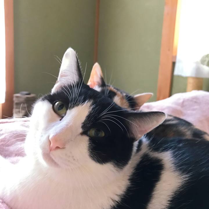 297d132d 45c4 4826 934b 5172e18a683e