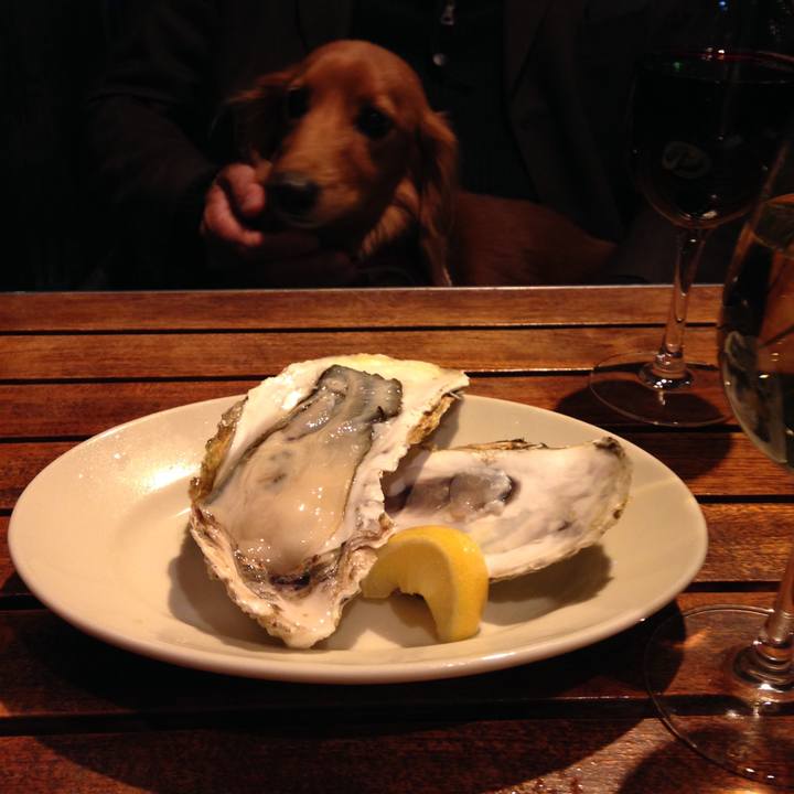 297d97f6 33ae 4ddc a46c e7ff8f64371f