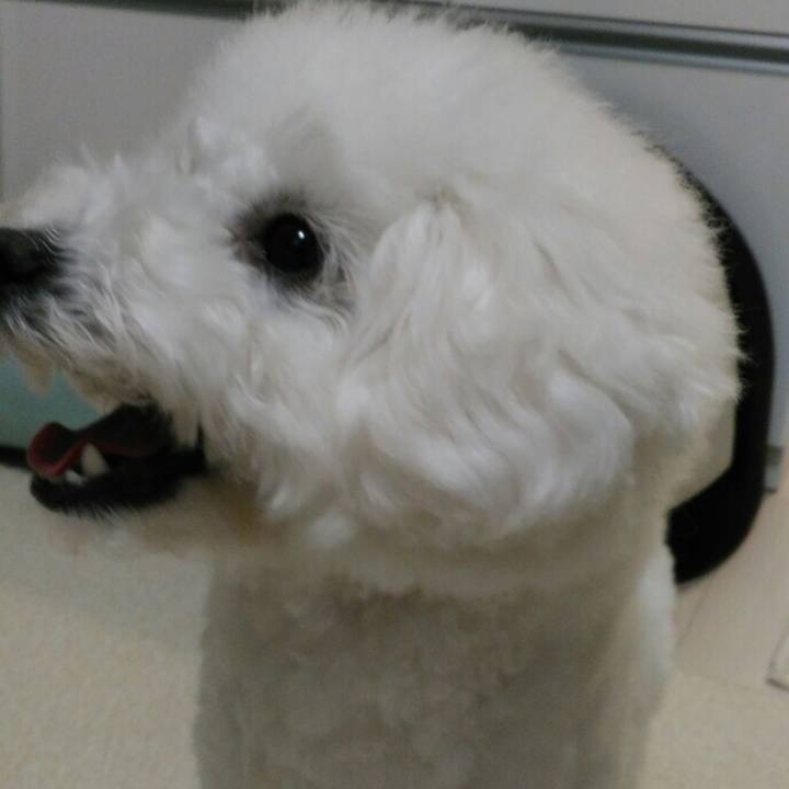 297d9f28 24c7 407a b43a 3ef167acd93d