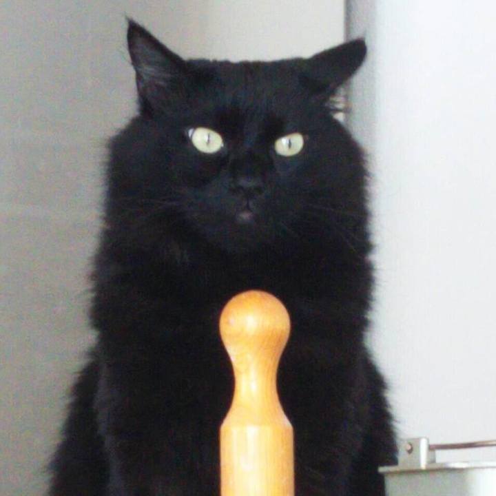 297dd4fe b649 47aa 8556 9978f15a33c2