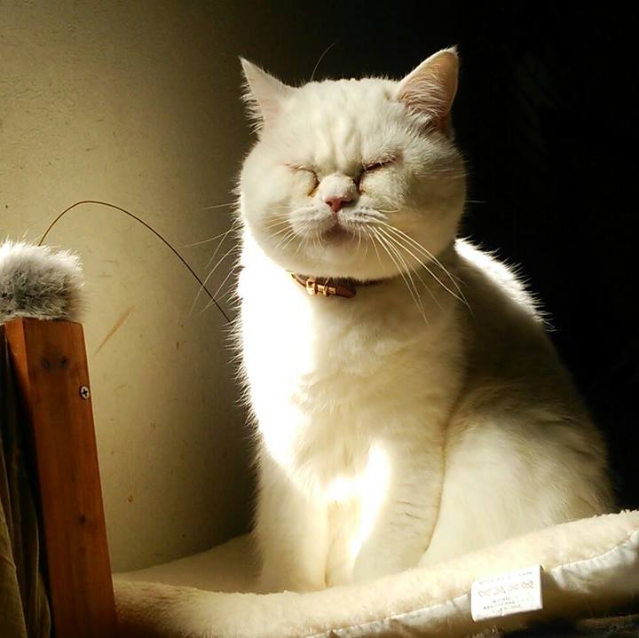 297ddfb3 7290 4ce8 a5c3 3a31b9c4b57c