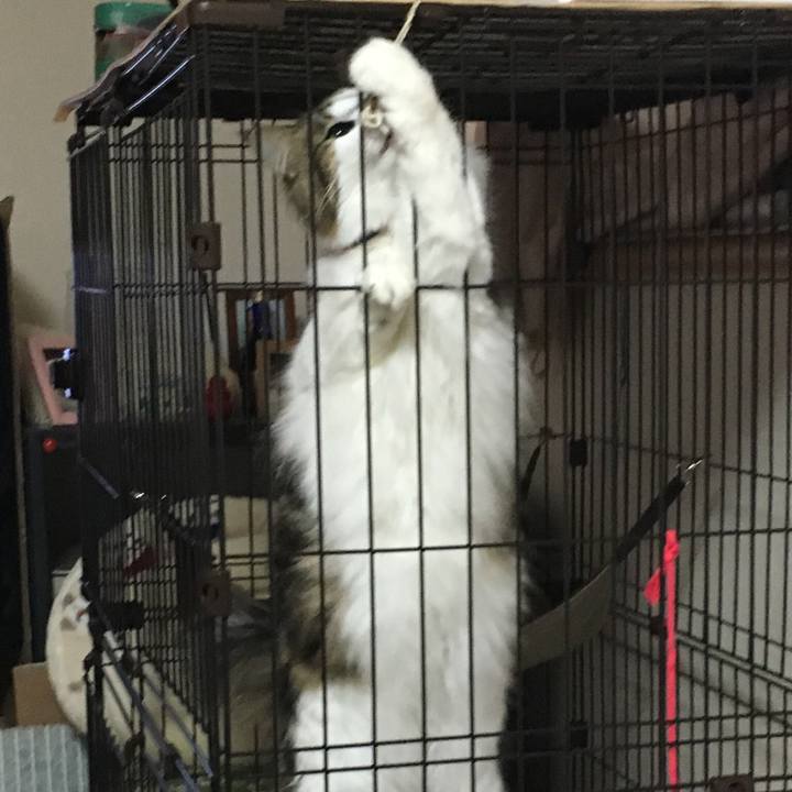 297e4509 814b 4526 a274 bb4a68c10f90