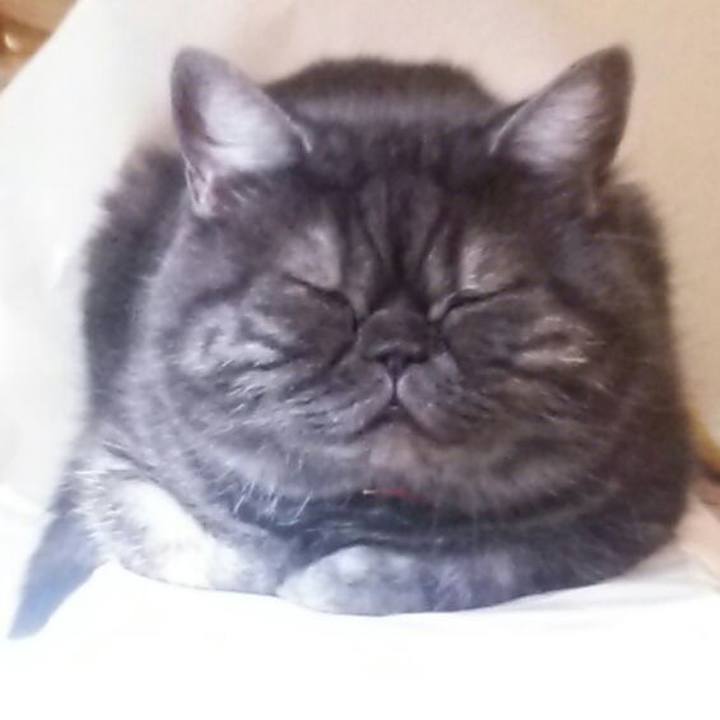 297f08ea 069e 445e ada7 def5d27f1fe9