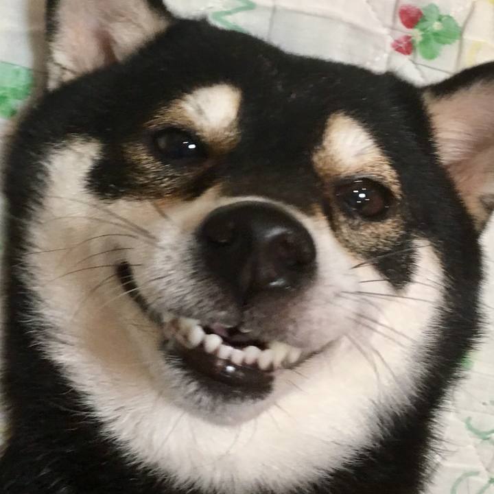 297f0b64 7d9d 4403 9db5 725e13cb8d31