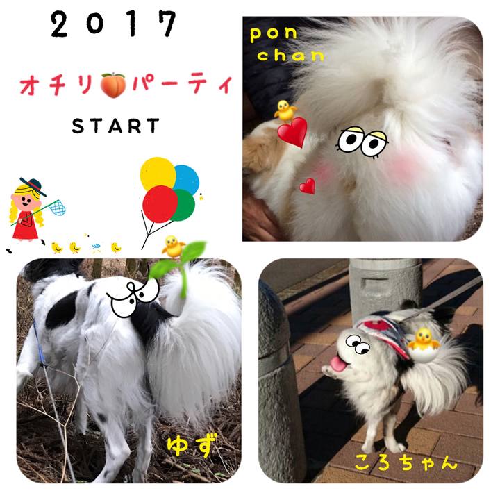 297f4510 42a7 4131 8229 fde9a69dd477