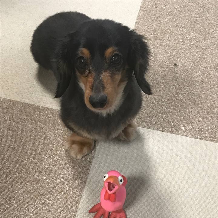 297f58e5 7e09 48d3 b564 3c42f3bf462a