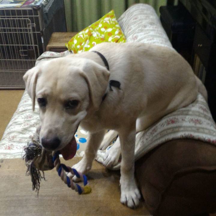 29802aa3 0084 47eb 92b0 22ae1333bc5c