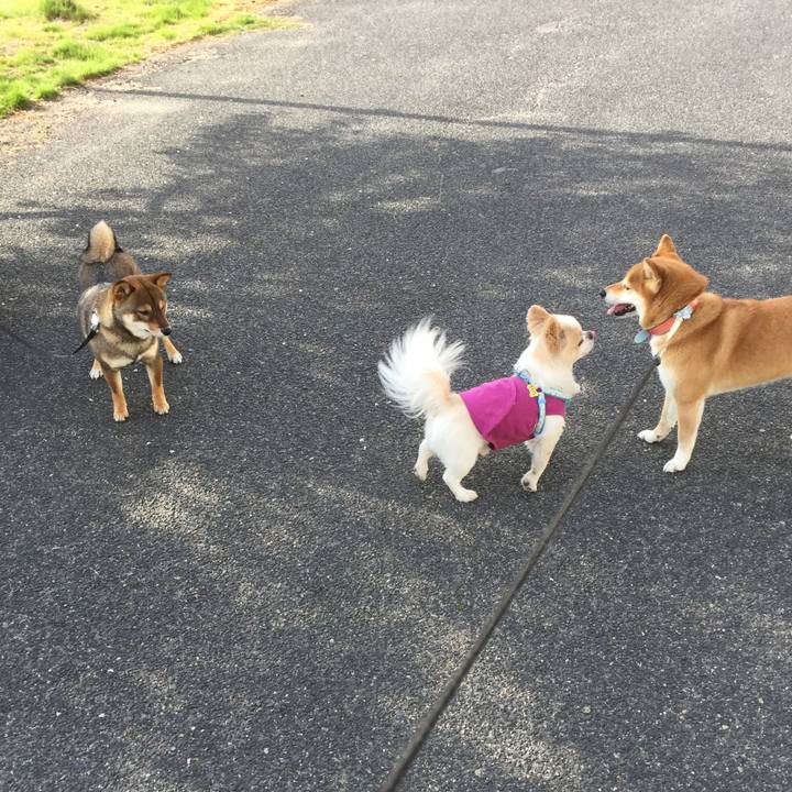 29817682 af58 4e95 84af 654af1a3d831