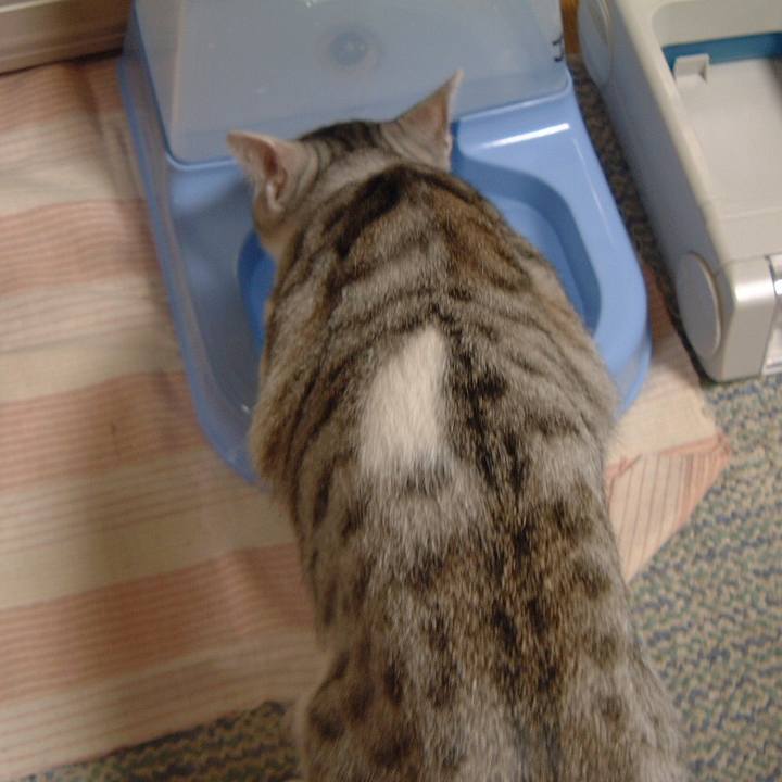 2981ab61 2846 4b81 9591 cac3bc81ca3e