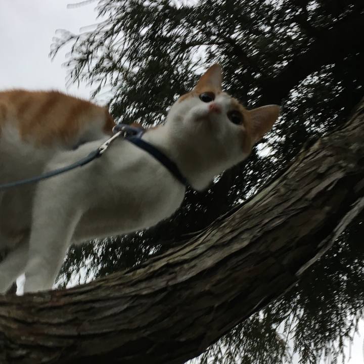 29821440 11b5 4131 9495 b0eadaaf81b0