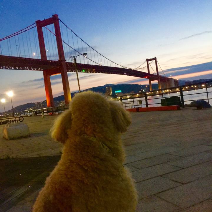 2982277c 64fc 43ad aea1 c21741bd2019