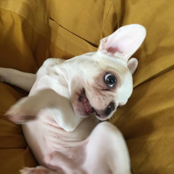 29823b43 a861 4a1a 96ce 735c2a37674b