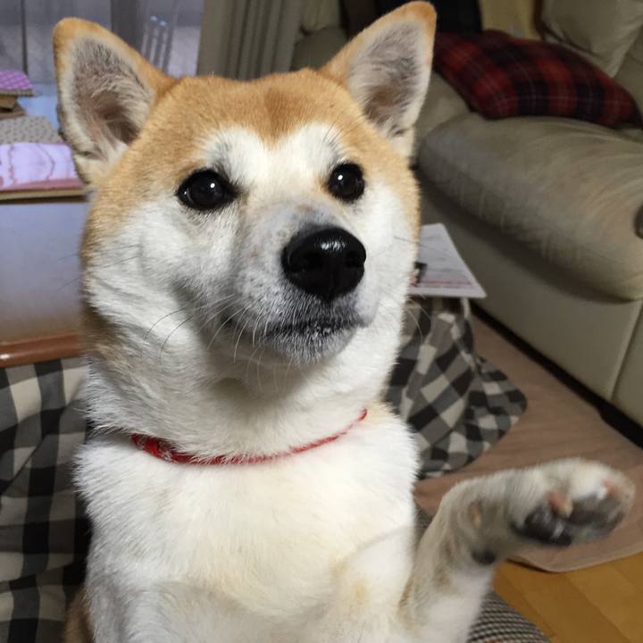 29825027 70b1 45b1 88e3 413cd9b8b598