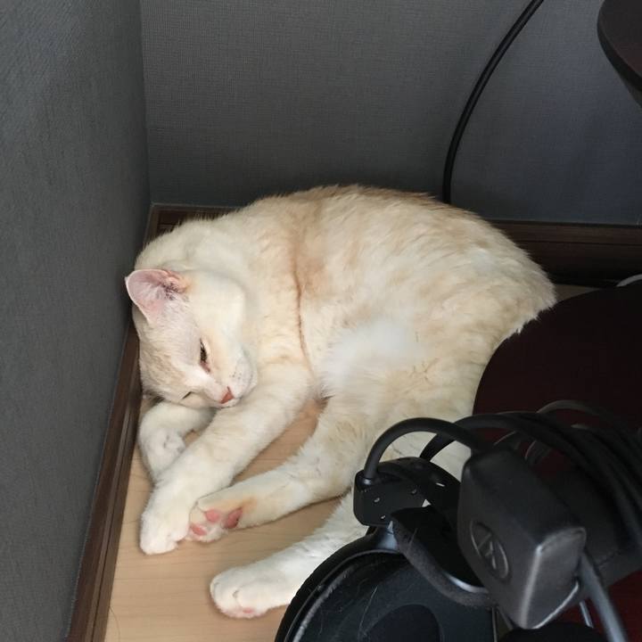 29829efa 17db 475d 944c 69b11f36e085