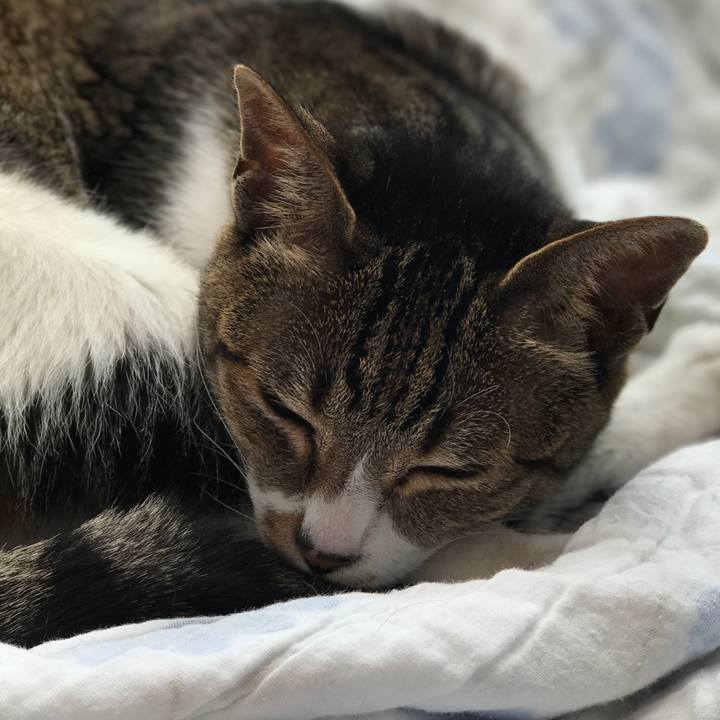 29832aa0 c9fd 4daf 9f94 694b2a50e89c