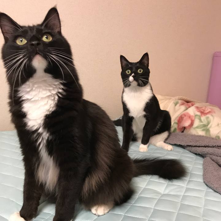 298471c5 adf0 4308 8152 cc1aa475d5fc