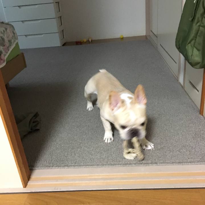 2984e5d7 91a1 41c1 b7bf cf8842f2b0c6