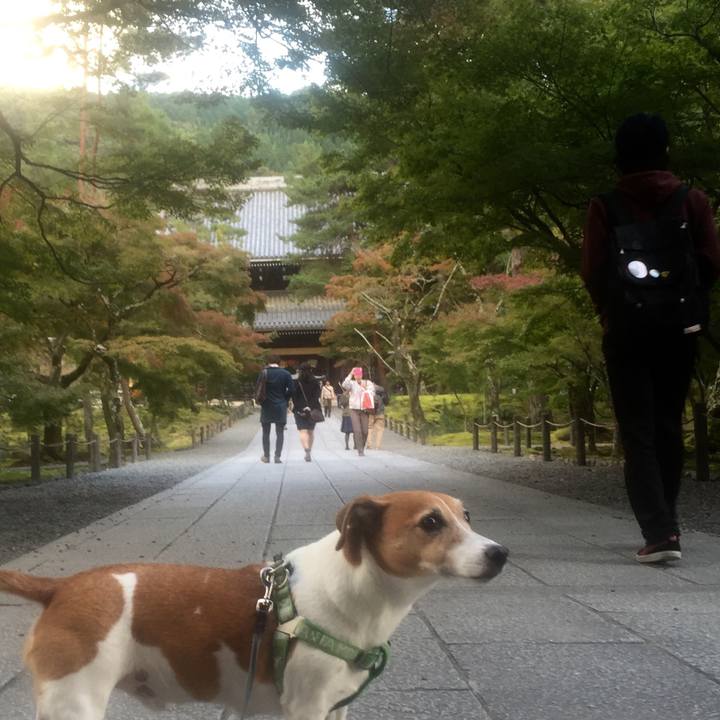 2985124a 6bd0 431d a969 e3877b558e1f