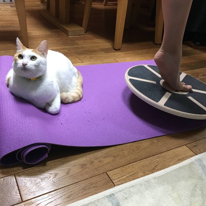 2985997c bd7f 4bc0 85de 5c9999e0ab72