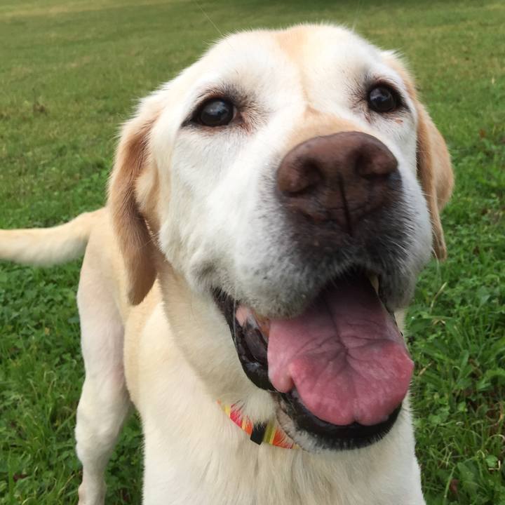 2985f732 e124 4ae0 a51f dfe82374ebb5