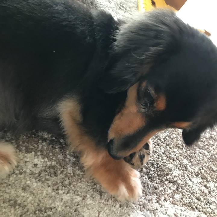 29860fbf 56dc 4166 98a4 d4618c073514