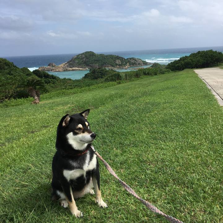 29864f55 aabc 4274 90a5 317e033bff49